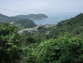 佐敷峠の海が見える場所