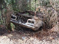 自動車の残骸