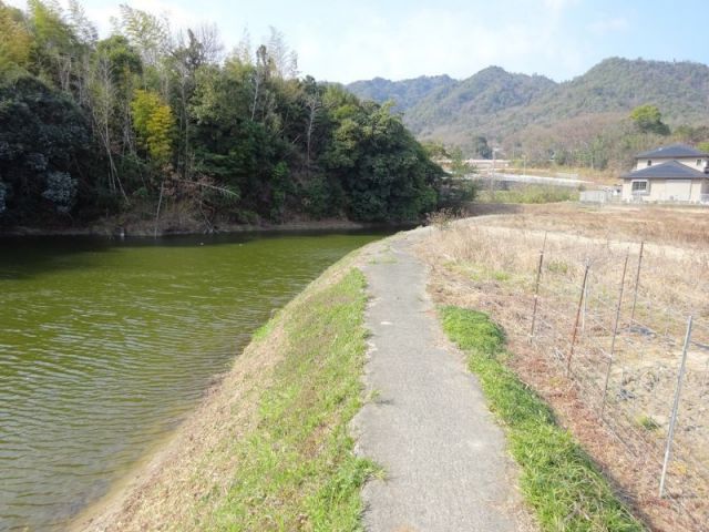 池の橋の道