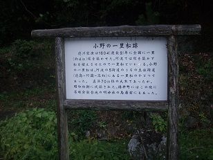 小野の一里松跡