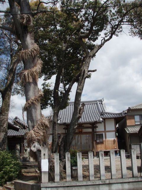 杵築神社