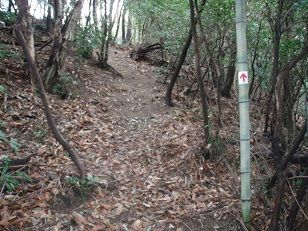 花折峠