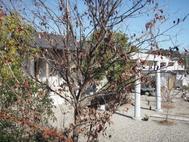 「滝川貳大龍神神社