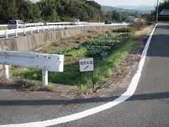 「熊野古道→」