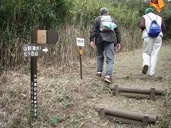 山田〈湧水）七ツ石山