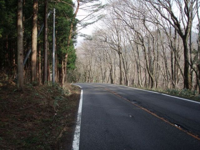 林の中の道２