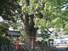 東漸寺