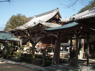 白峯寺