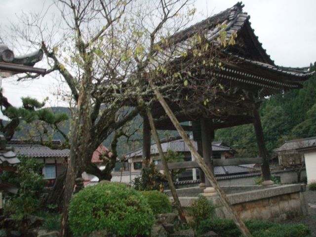 願慶寺
