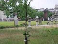 福岡藩黒田家墓所