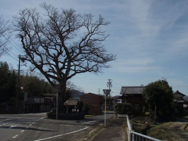 水神社１