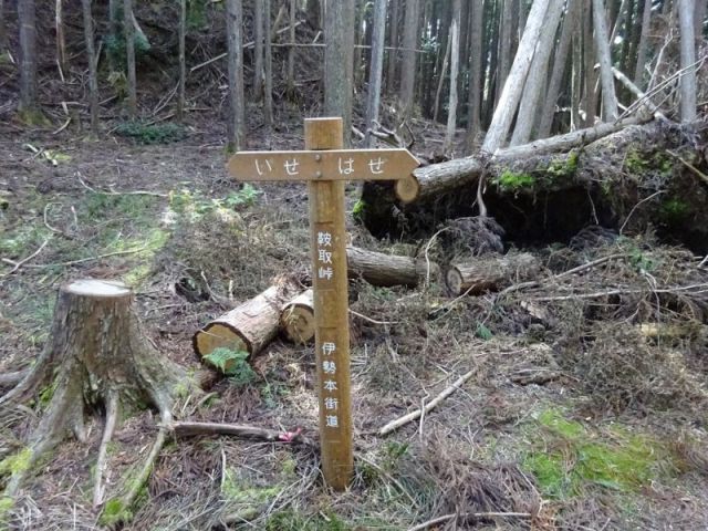 鞍取峠頂上