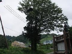 栃ノ木峠