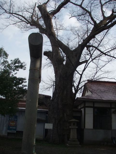 熊野神社2