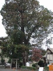 八心大市比古神社