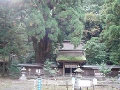 若狭彦神社下社