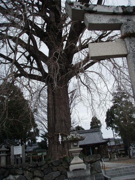 天川命神社