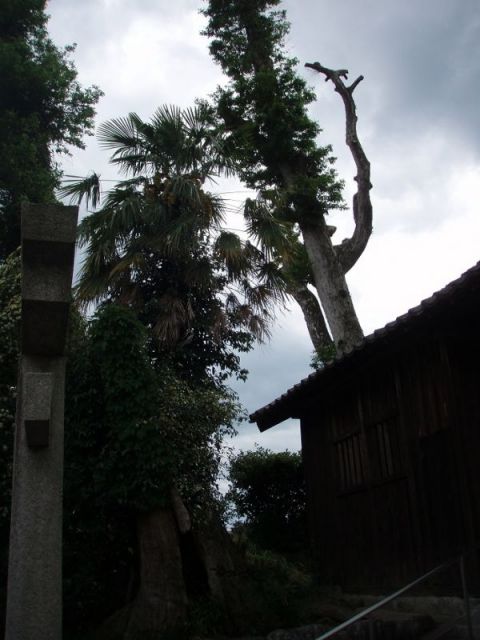 高木神社２