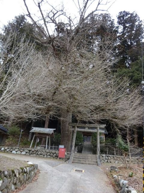 春日神社２