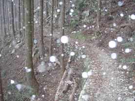 雪は降る