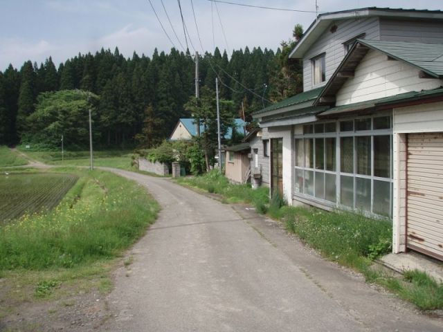 道は山の中２