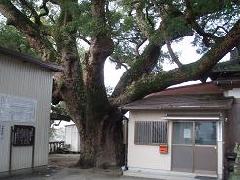 水神社