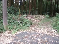 右手に入る山道