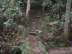 木の階段