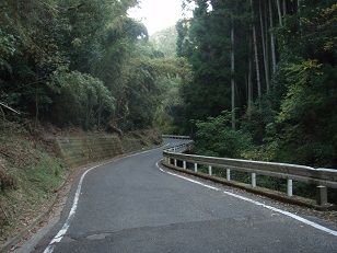 静かな山の中の道