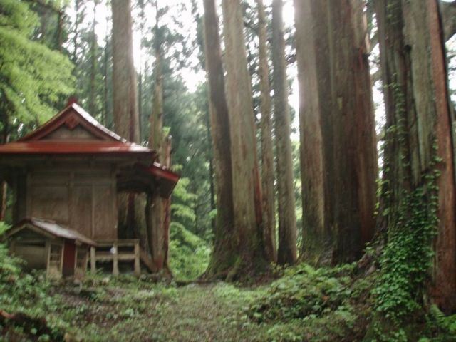 上中田弥彦神社2