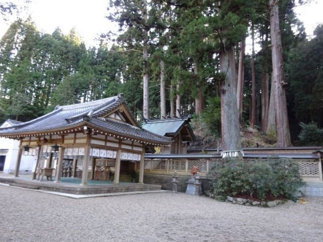 御井神社１