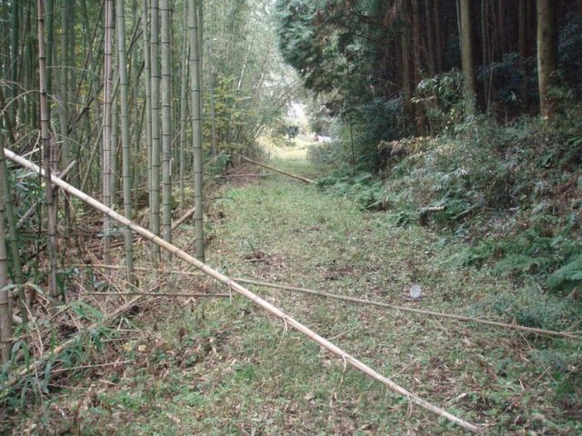 山道