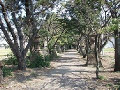 本村井神社