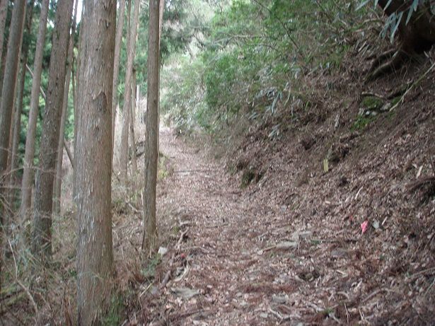 本格的な山道