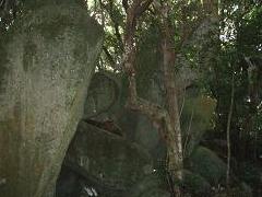 日吉神社