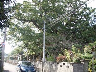 岡上神社