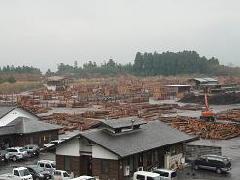 日田中央木材市場