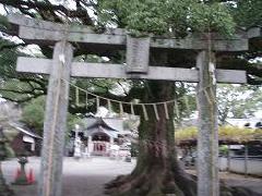 須賀神社