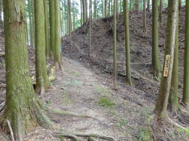 桜峠