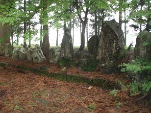 泉田八幡神社２