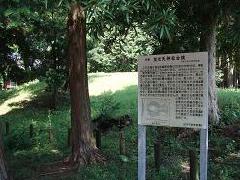 傘松神社