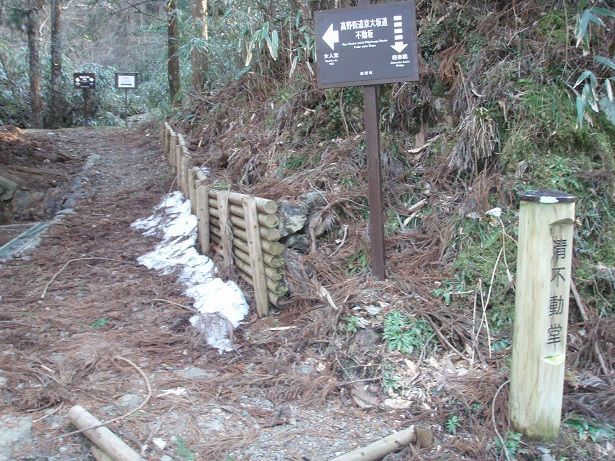 右横から旧道