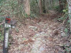 七子峠の登山口