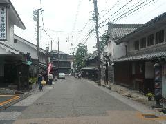有松