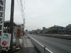 朝