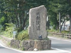 松並木