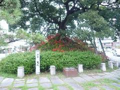 笠寺一里塚