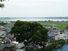 P1000553
