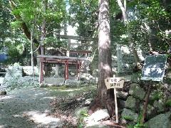 鈴鹿峠