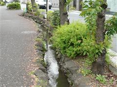 P1000268